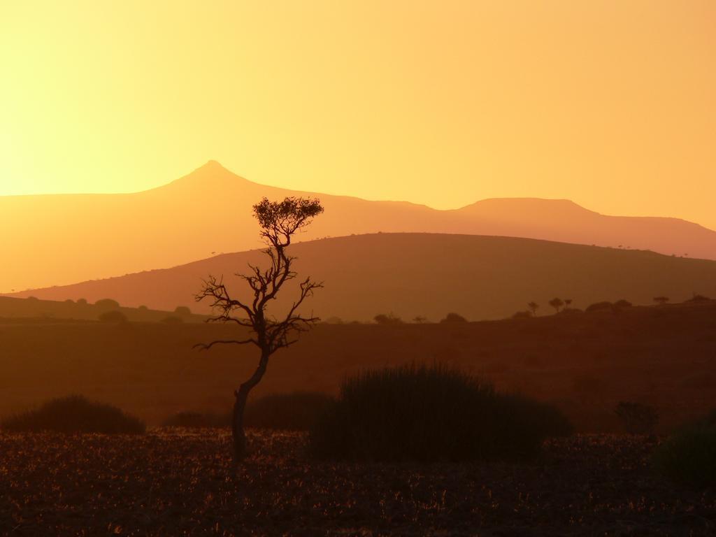 Etendeka Mountain Camp Damaraland Exterior photo